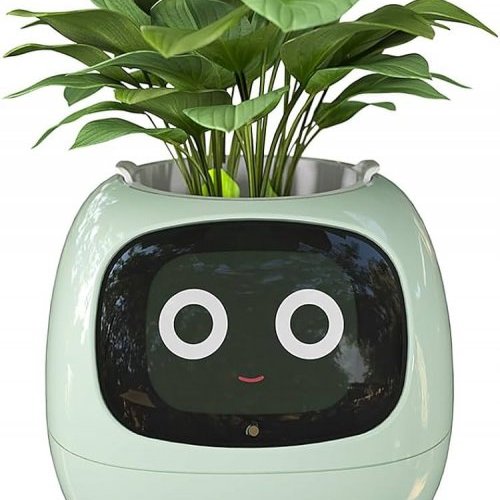 MA PLANTE CONNECTÉE